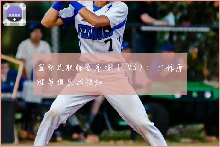 国际足联转会系统(TMS):工作原理与俱乐部须知